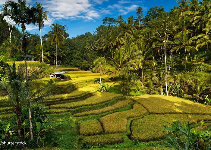 Awatara Boutique 4* Ubud