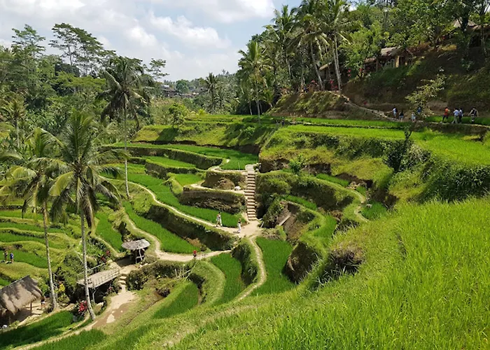 Awatara Boutique 4* Ubud
